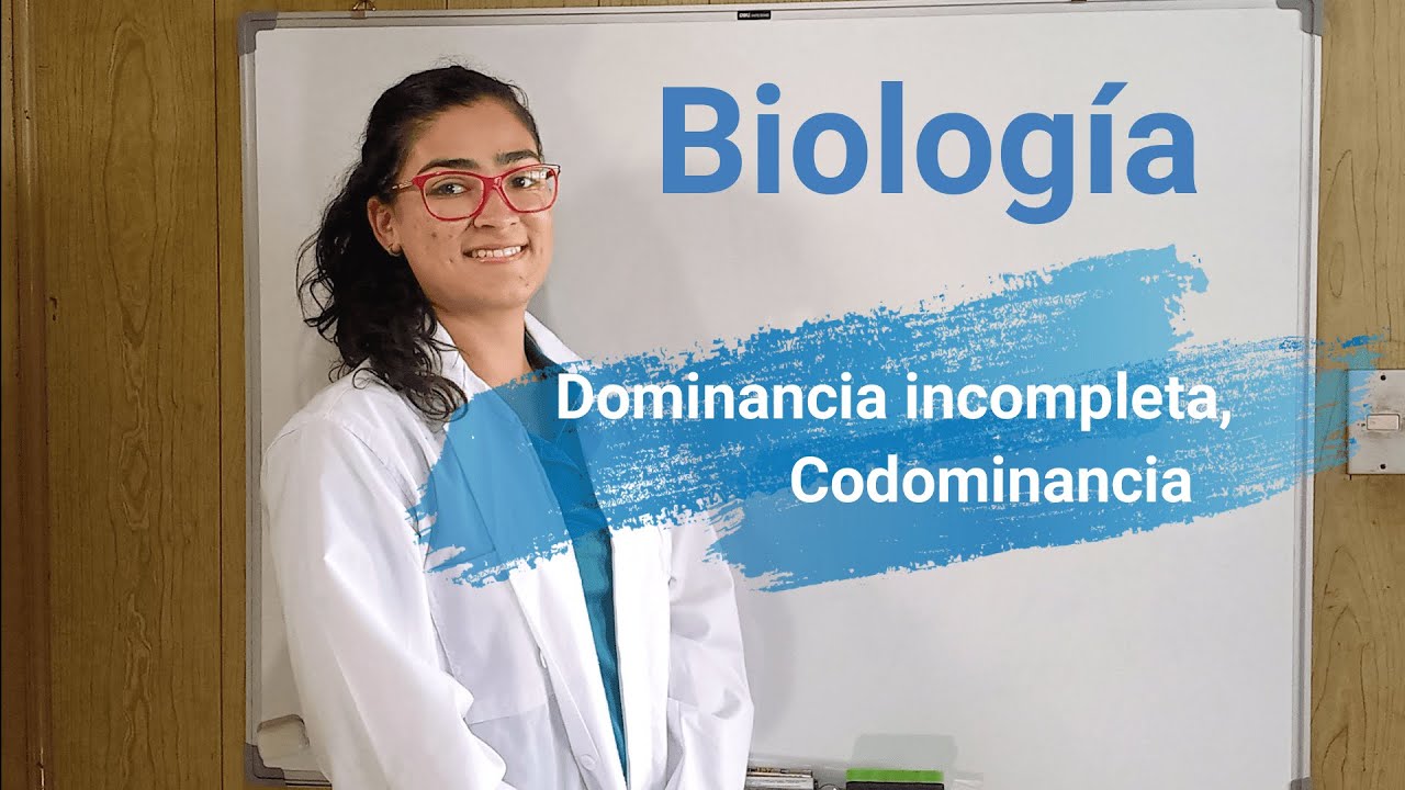 Biología Bachi | Dominancia Incompleta Codominancia, Alelos múltiples. Ejemplo de grupos sanguíneos