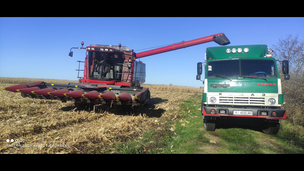 Збираємо молотимо КУКУРУДЗУ ДКС 4014 КЕЙС 2388 КАМАЗ