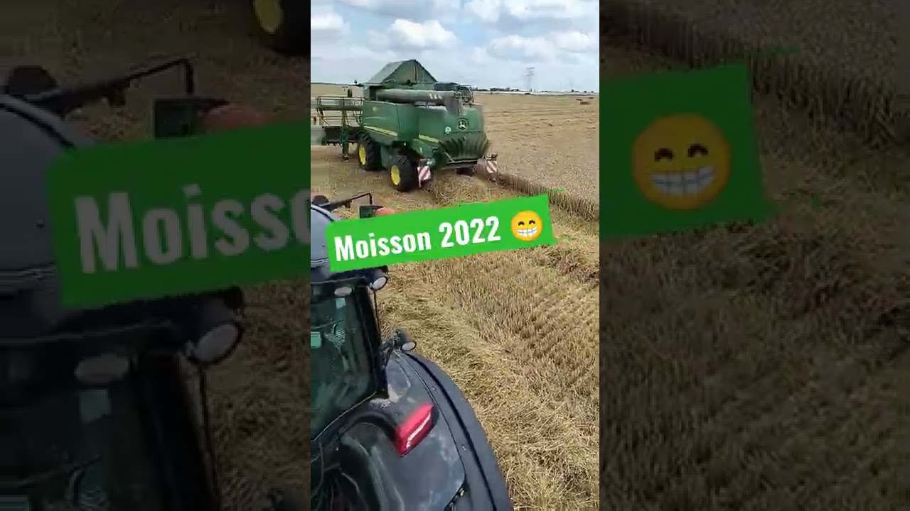 Notre moisson 2022 commence ! 🔥🤩😁 #short #youtubeshorts #agriculture #moisson #tractor #farming