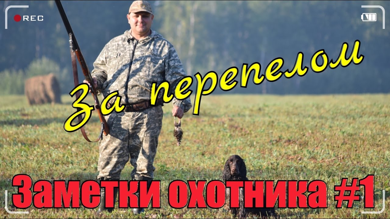 Охота. Заметки охотника #1. За перепелом. Hunting in russia. Fishing in Russia