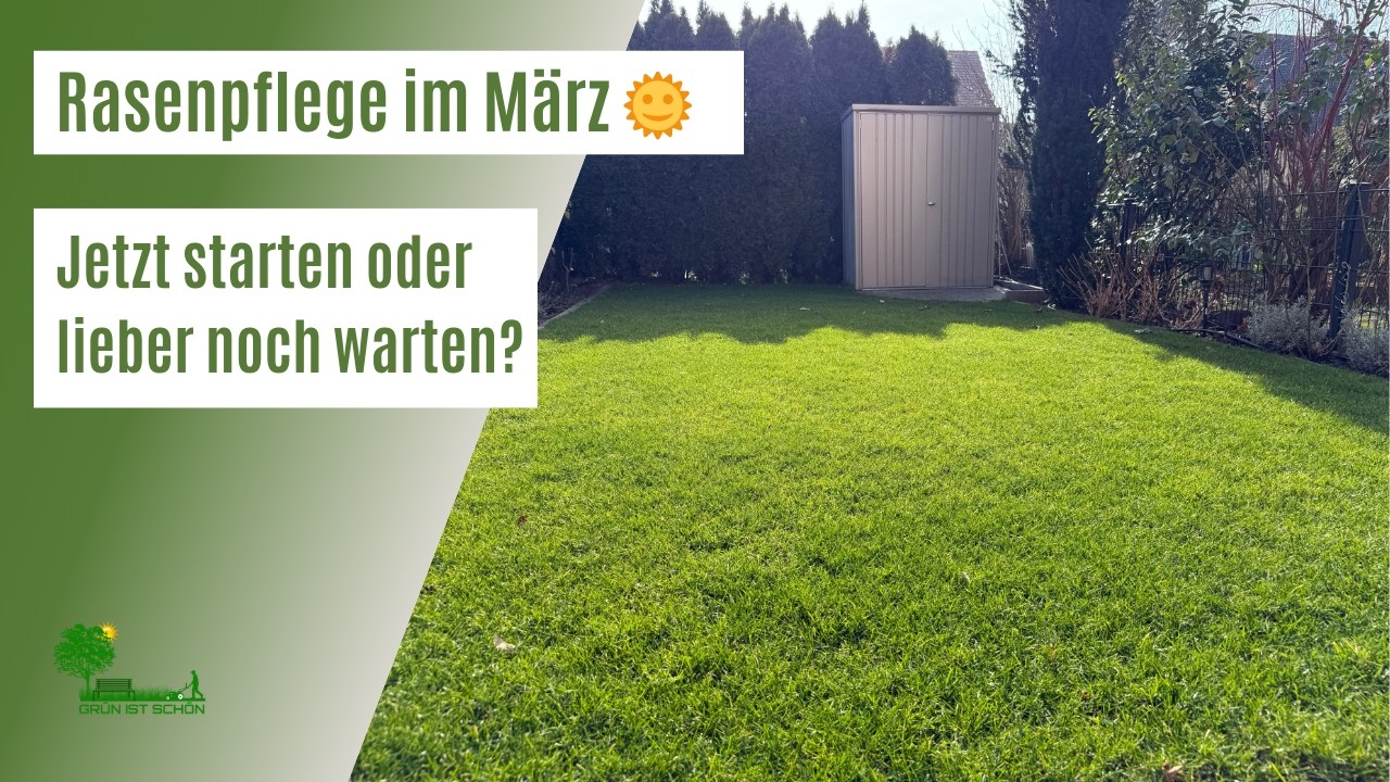 Rasensaison 2026 🌞 | Rasenpflege im März | Jetzt starten oder noch warten? | Vermeide diese Fehler!