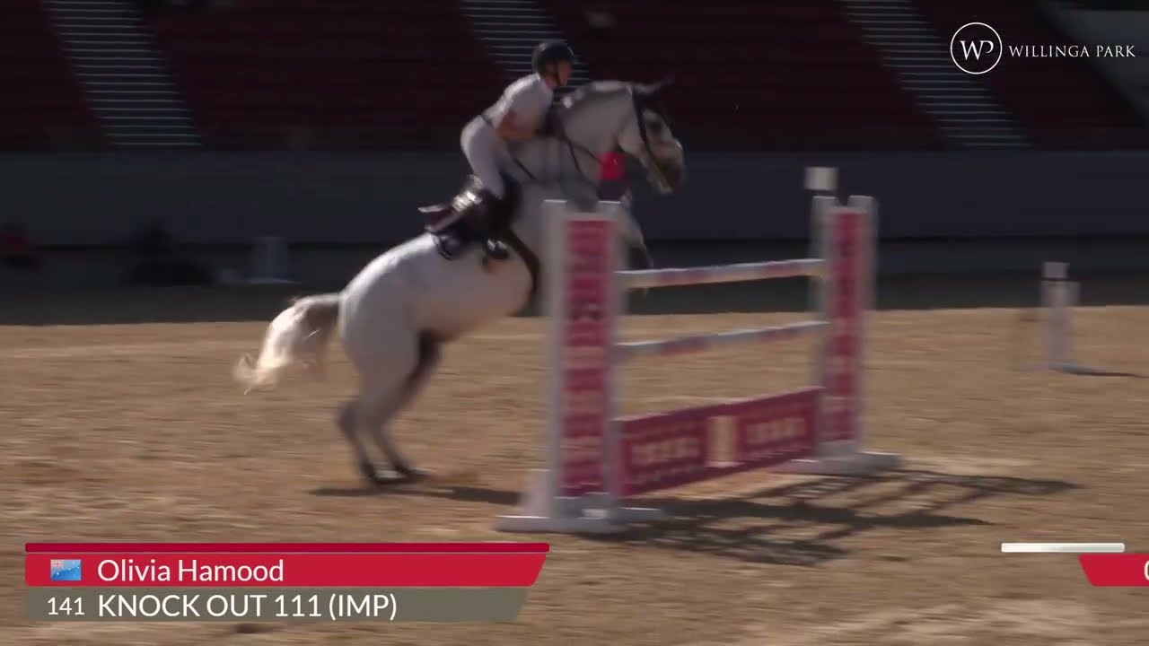 4CYTE&trade; Jumping@Willinga  1.45m