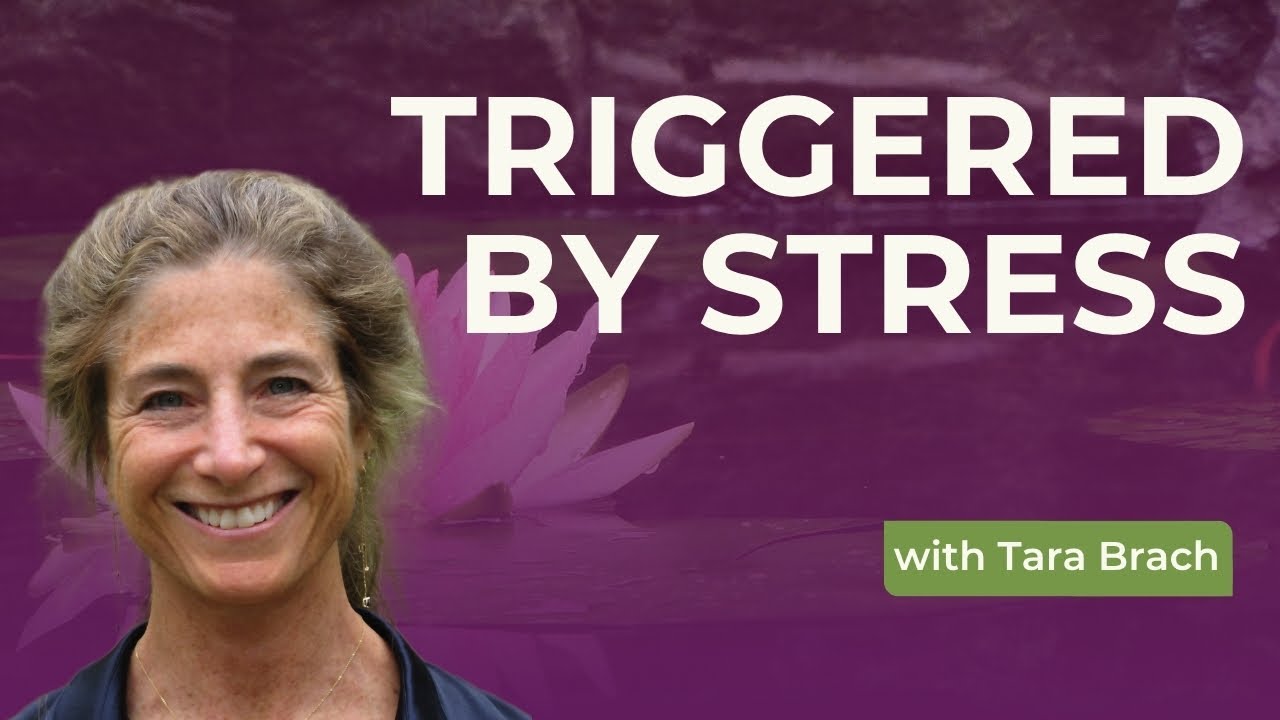 Learning to Respond Not React, with Tara Brach