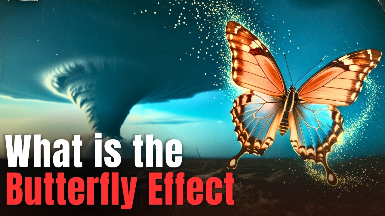 What Is the Butterfly Effect? And How It Affects Your Life