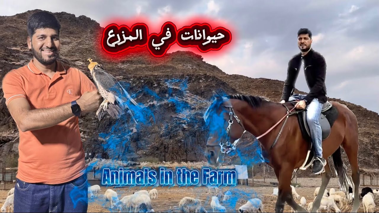 Saudi Arabia Beyond Cities | Farmhouse Experience