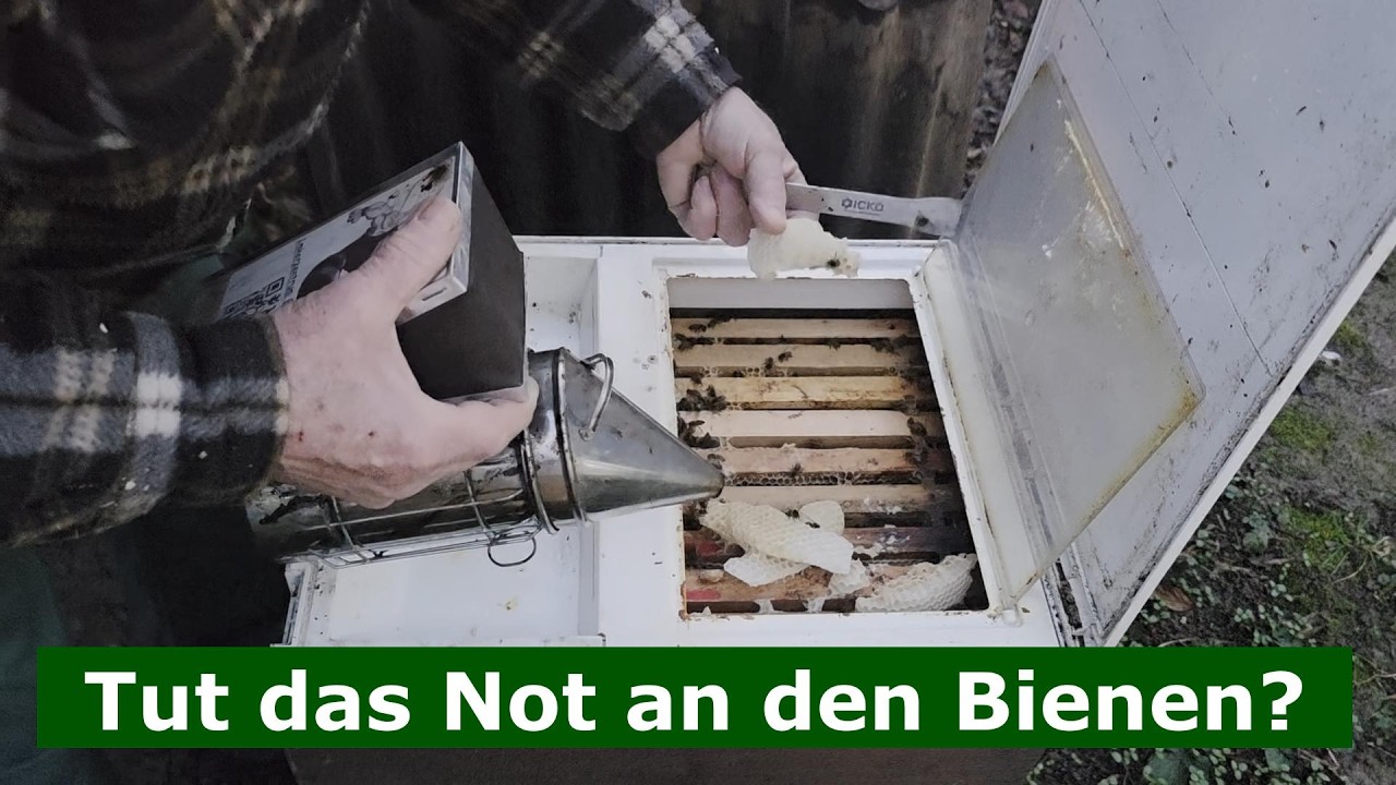 Tut das Not an den Bienen? #wirmachendas