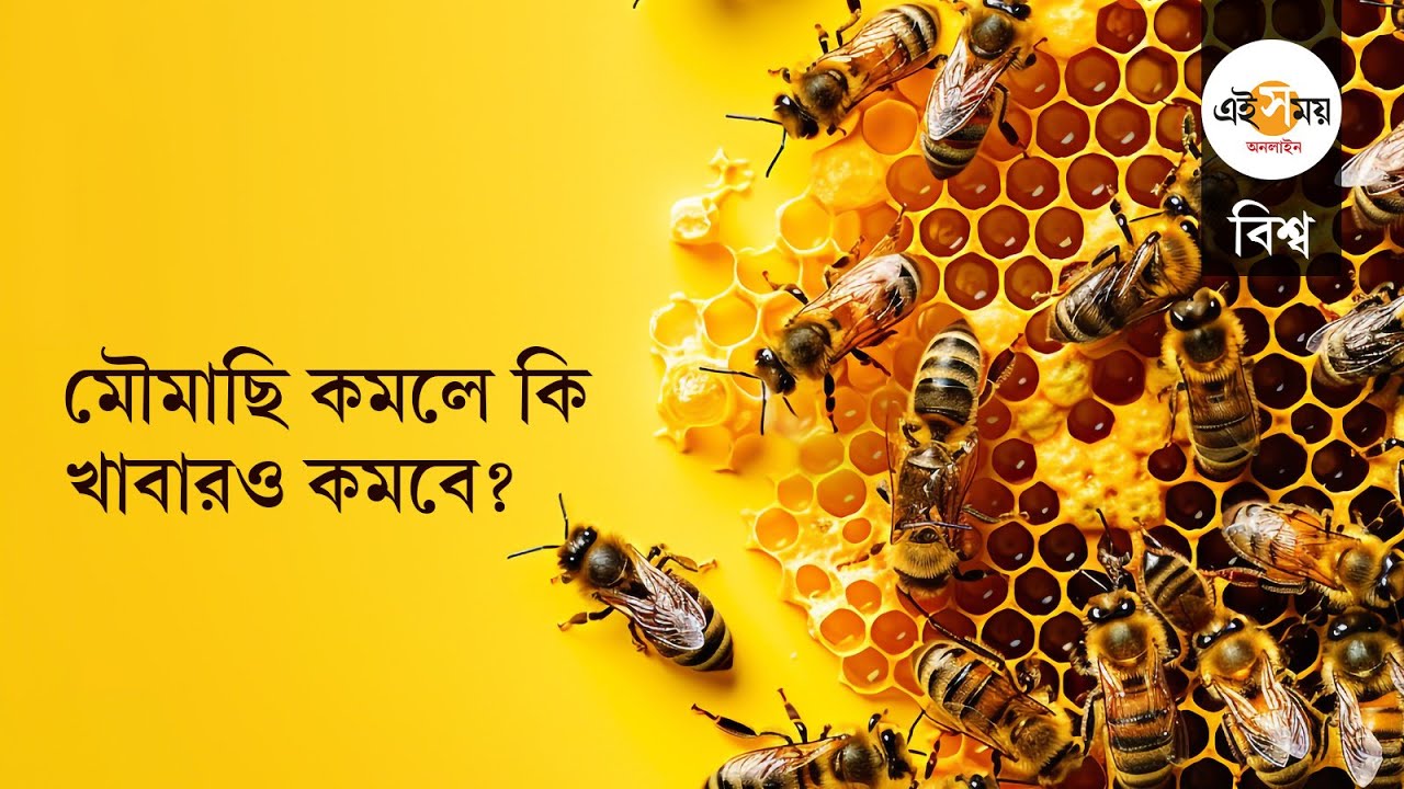 Global Environment: জলবায়ু পরিবর্তনের ফলে দ্রুত কমছে পরাগবাহী পতঙ্গের সংখ্যা