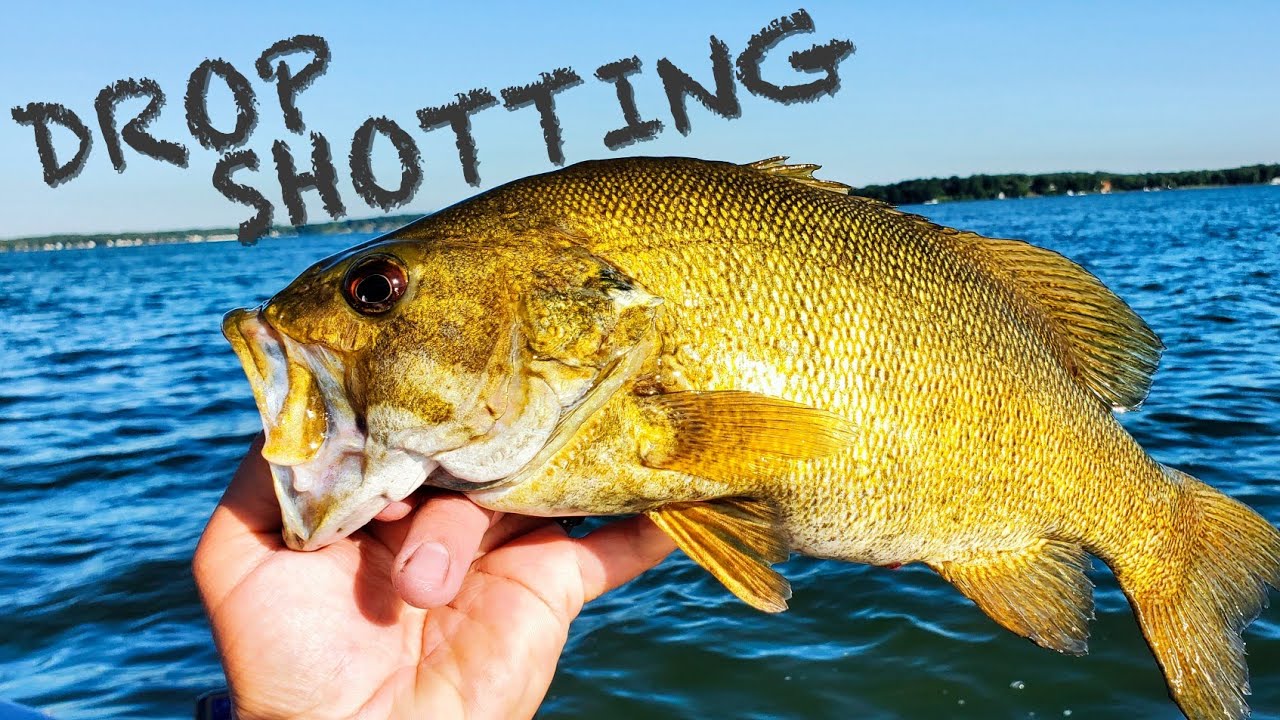 My FAVORITE RIG for WALLEYES and SMALLIES - dropshotting with meat
