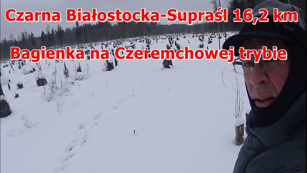 Bagienka na Czeremchowej trybie .Czarna Białostocka-Supraśl  ponad 16 km przez Puszczę Knyszyńską