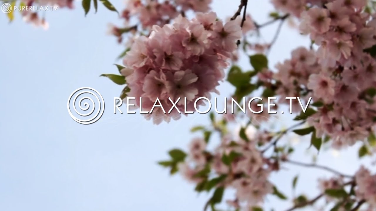 CHAKRA HEILUNG  - Gesundheit, Spa & Wellness - Regeneration, Instrumental, Meditation & Harmonie