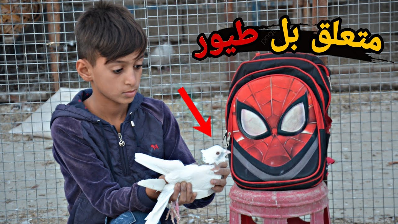 فلم قصير طفل ترك الدراسه بسبب الطيور💔 شوف شصار بل نهايه😱(#حيدرالنسر)