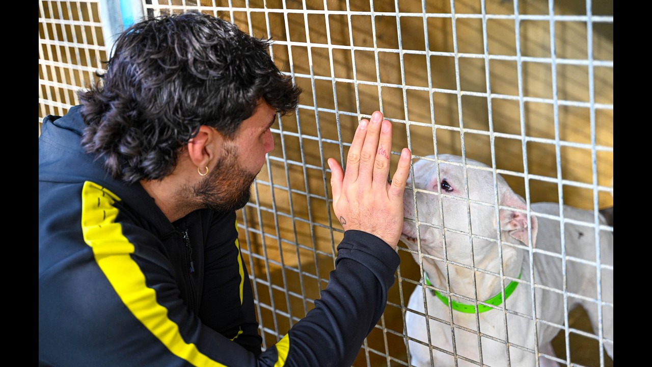 Stade Montois Rugby x Société Protectrice des Animaux 🐶🐱