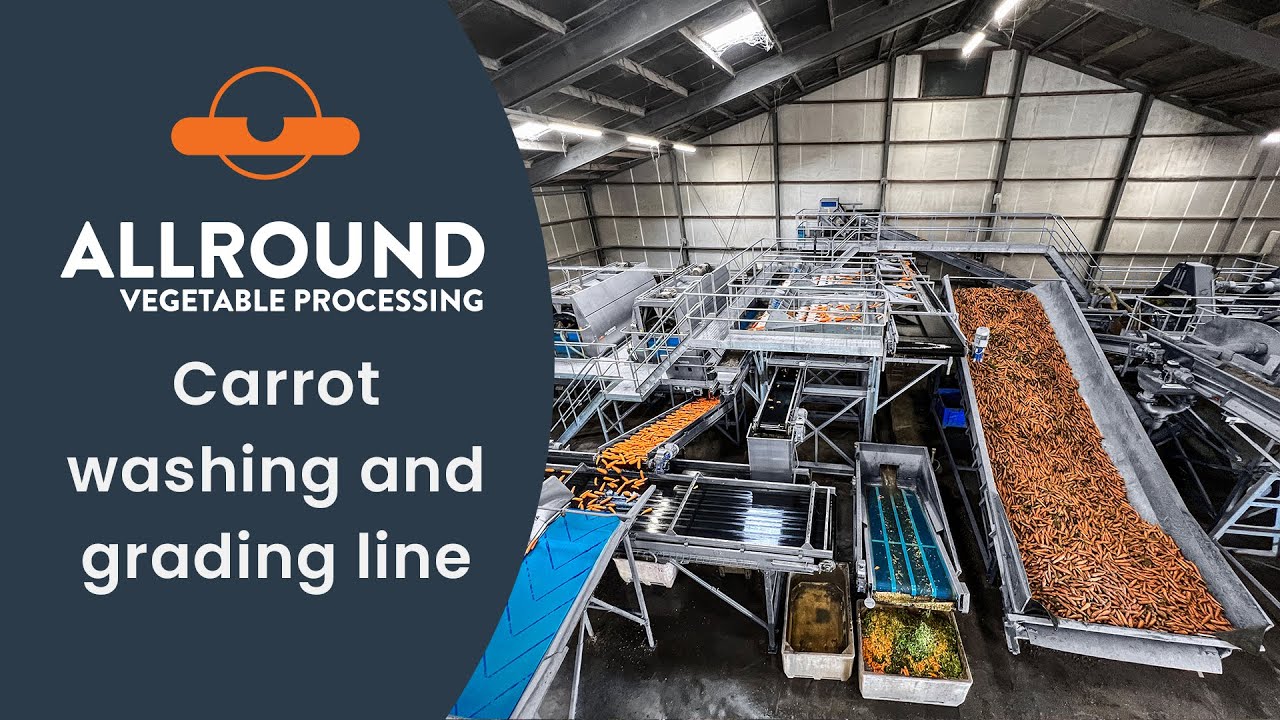 Carrot washing and grading line | Netherlands | Allround Vegetable Processing