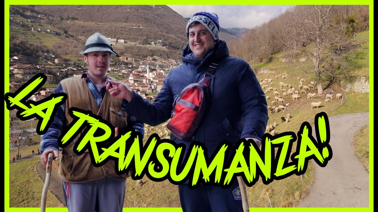 "500 Pecore in Cammino: La Vita di un Giovane Pastore tra le Valli Bergamasche