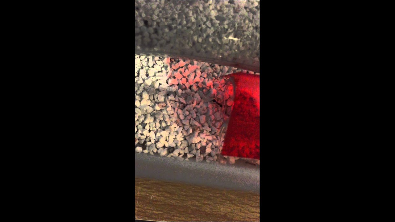 Myrmica scabrinodis colony moving from a temporary bottle nest to a test tube nest.