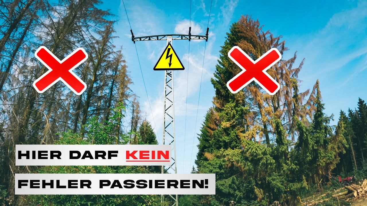Präzision unter Spannung: Risikoreiche Baumfällung entlang der Stromleitung!