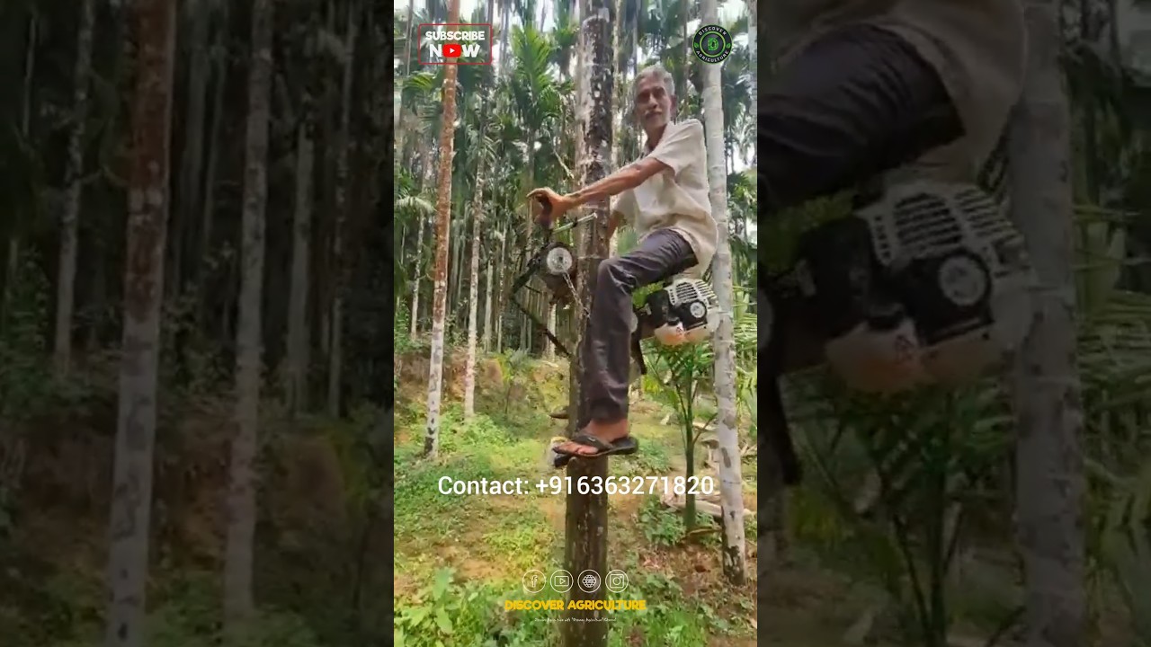 Arecanut Tree Climbing Machine