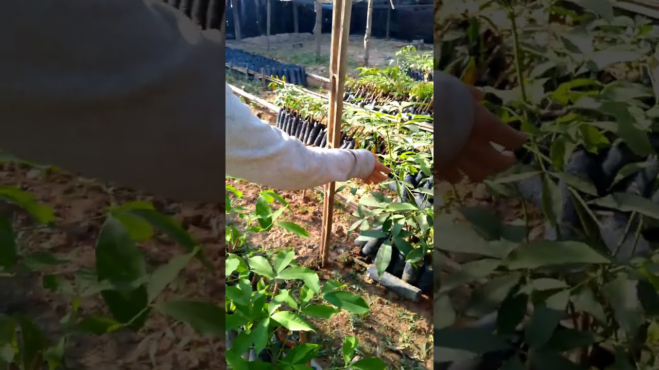 27 กุมภาพันธ์ ค.ศ. 2026