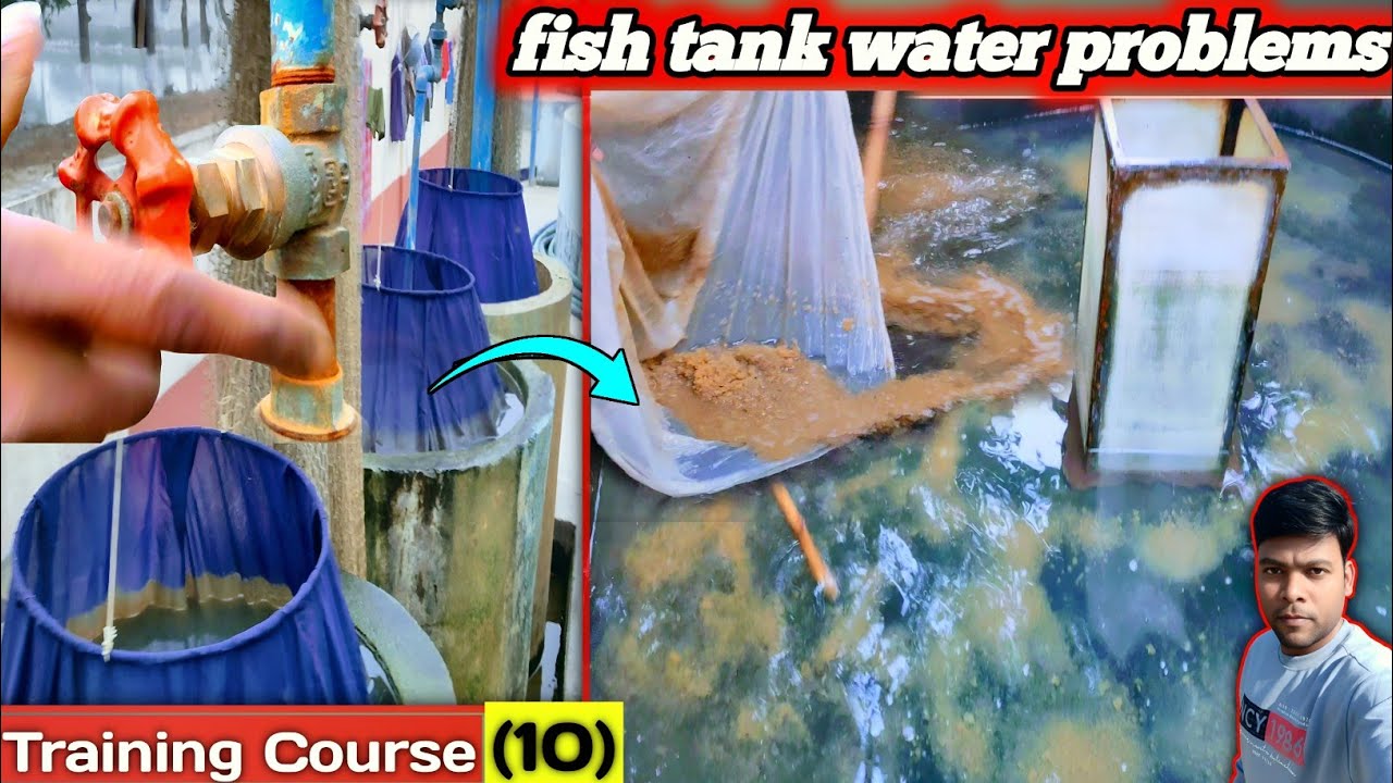 Fish breeding farm ka water supply Band Ho Jaye To Kya hoga? training course-(10) #fishjar #fishegg