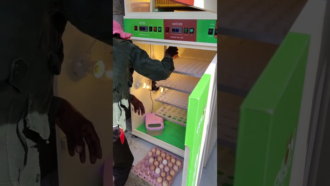 Fully Automatic incubator Made in Sri Lanka සිංහල 