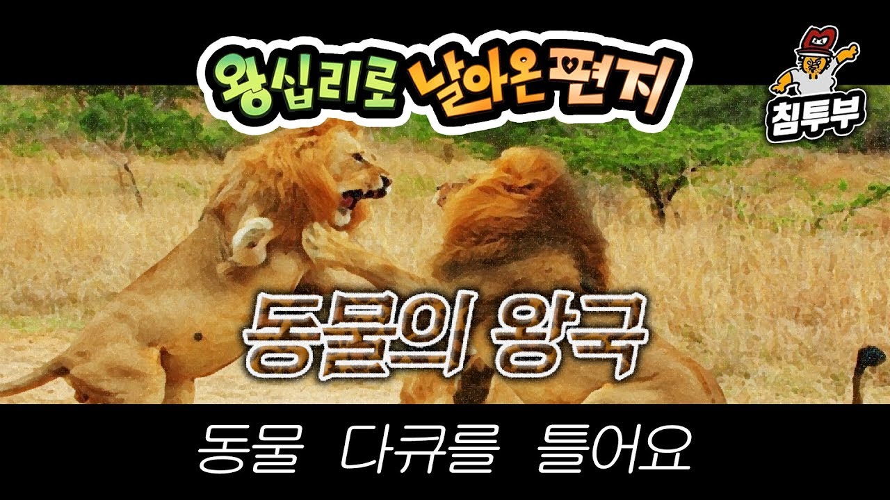 ⟪왕날편⟫ 19/10/01 옆집이 시끄러우면(?) 동물 다큐를 트세요