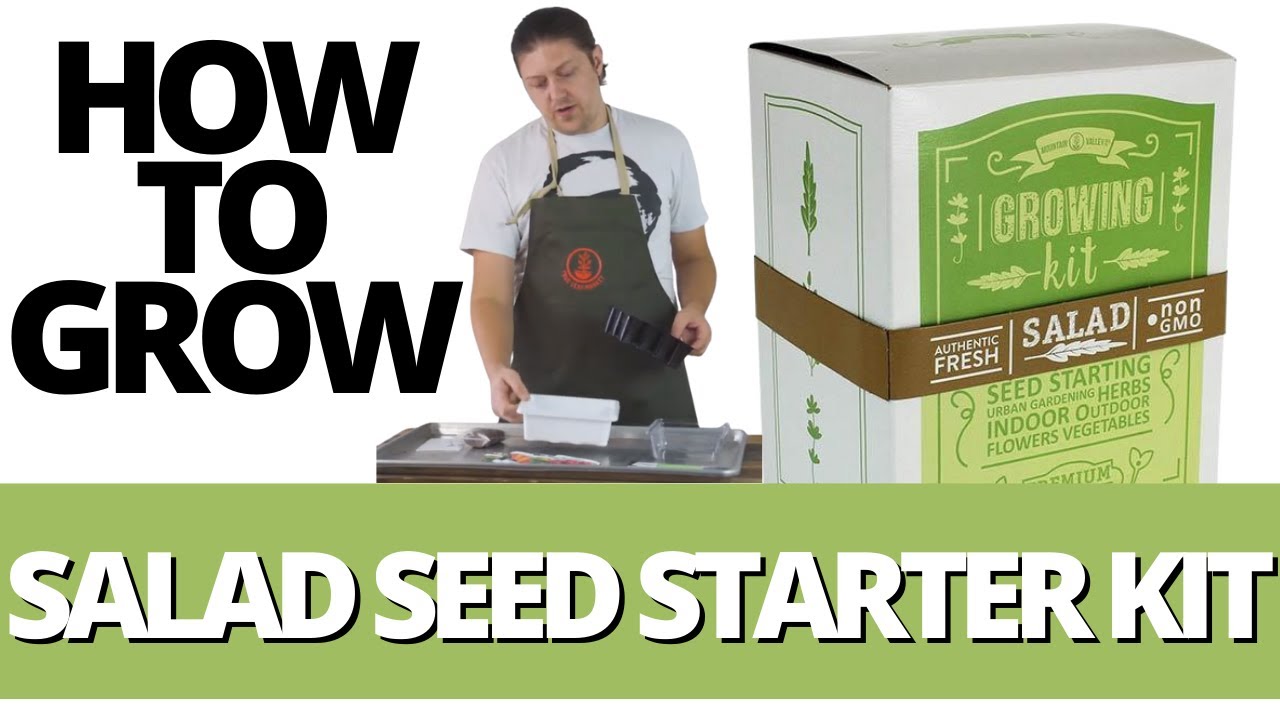 How To//Salad Seed Starter Kit