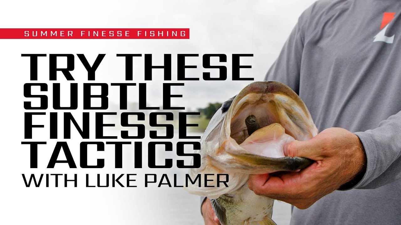 TINY Baits, BIG Bass &ndash; Late Summer Finesse Fishing