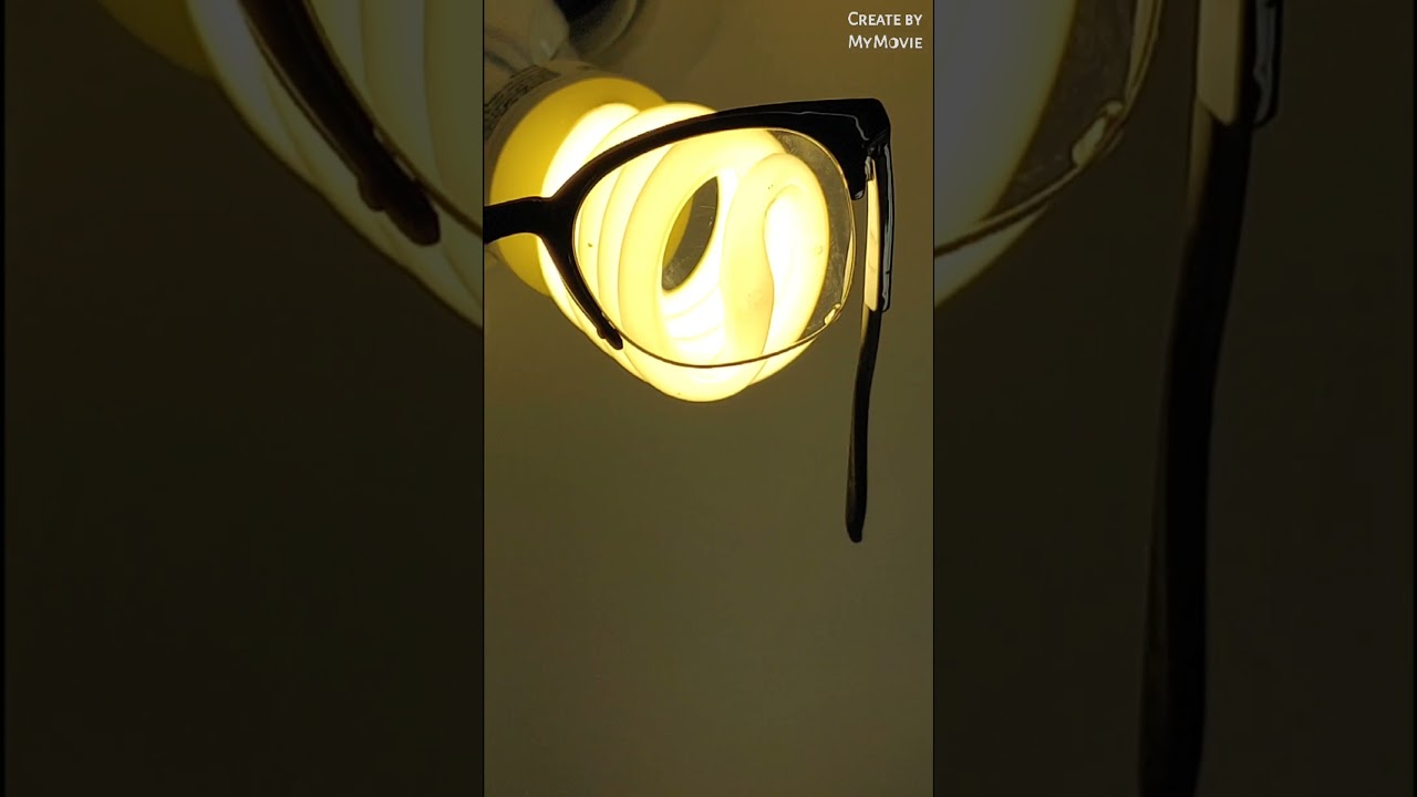 اهمية الإضاءة في حيات الحسون (موقنين) l'importance de la luminosité dans la vie des chardonnerets