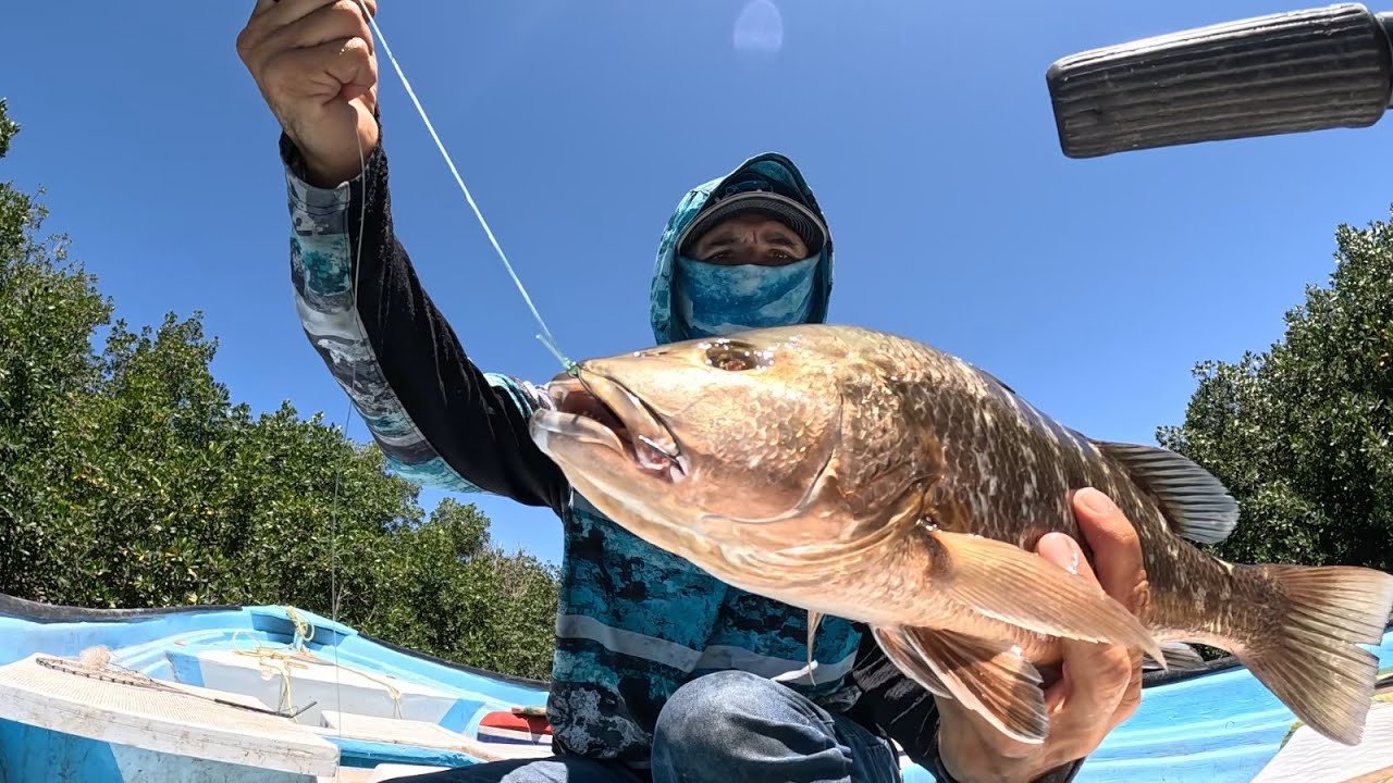Pesca de Pargos con Carnada Viva