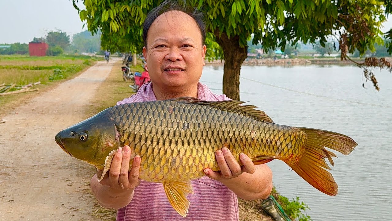 Cá chép 4kg nướng trên bờ đê // Sơn Hào 