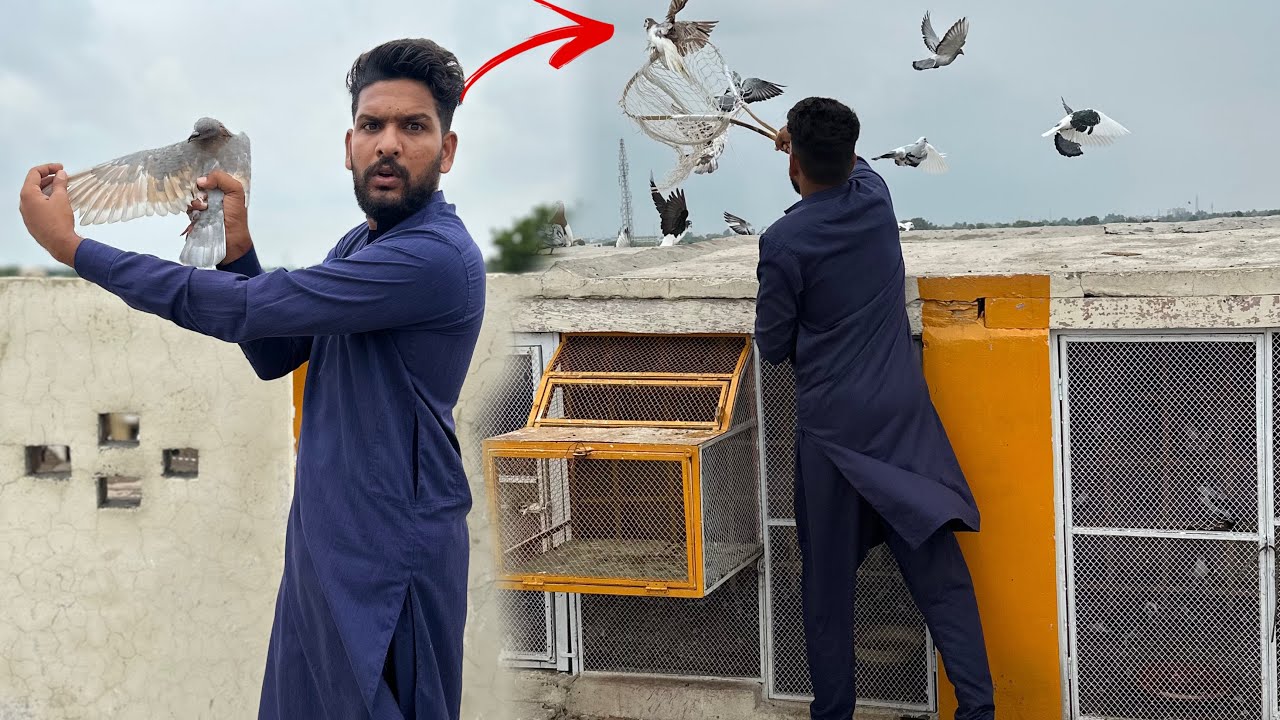 Aaj kisi ka Laal bandh kabutar utar liya or phir Kia hua😳😱
