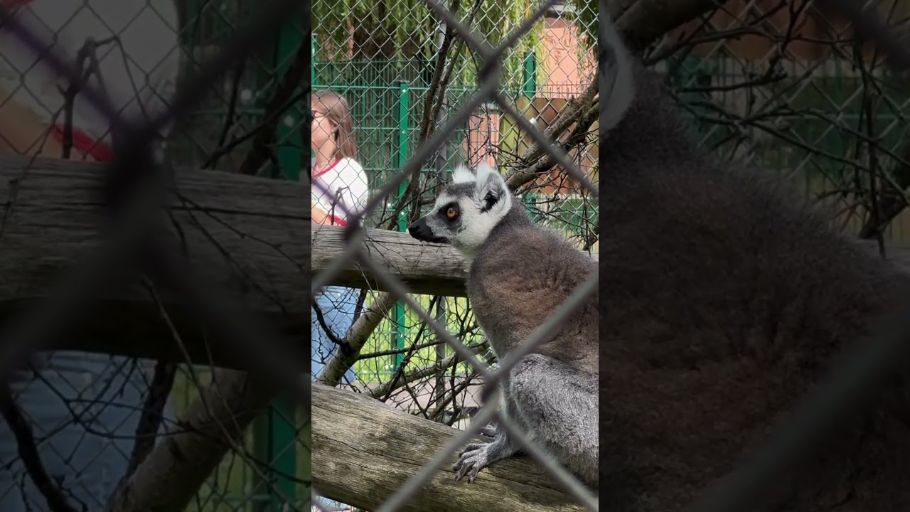 Kennt ihr schon diesen Freizeitpark? 😍 