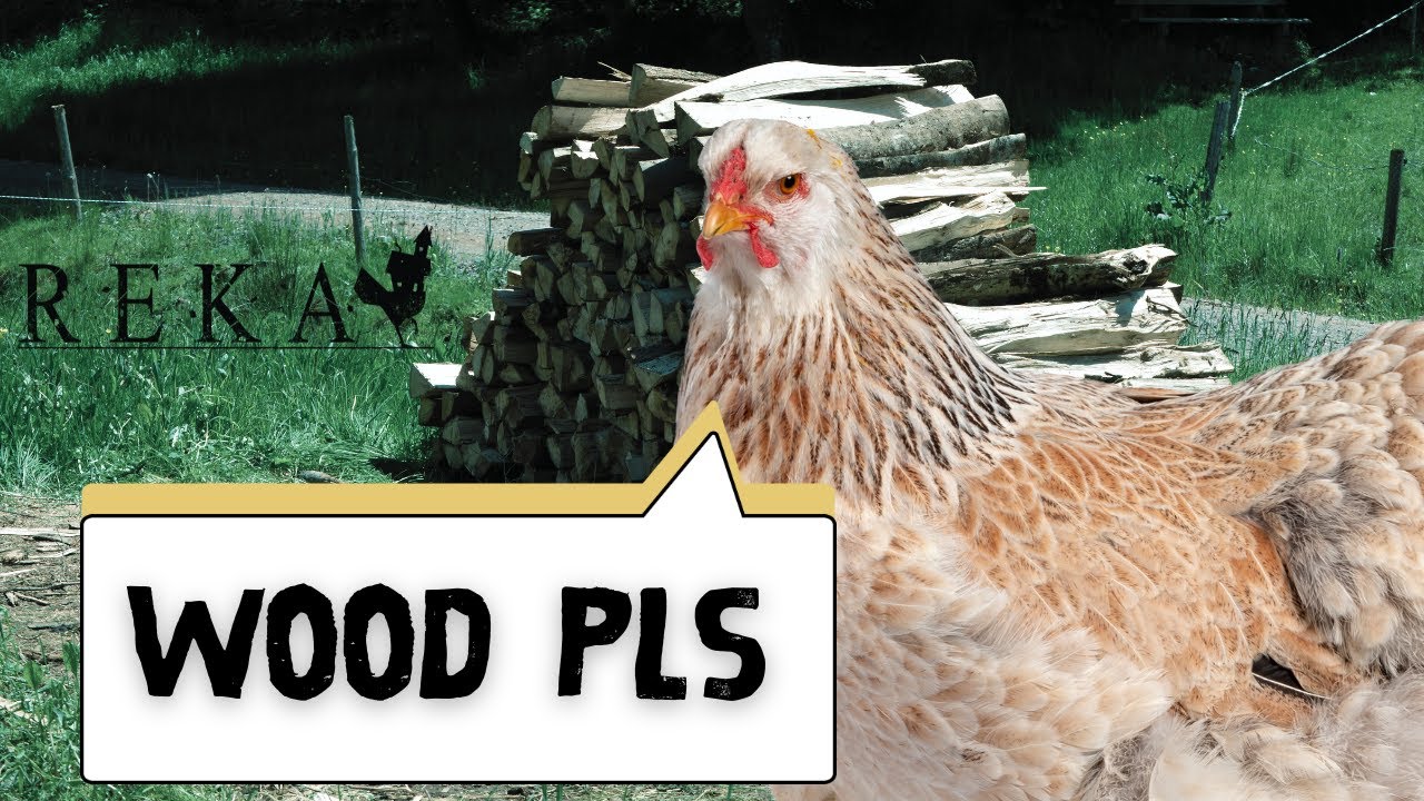 REKA - Part 4 - Wood for My Chicken Home Pls