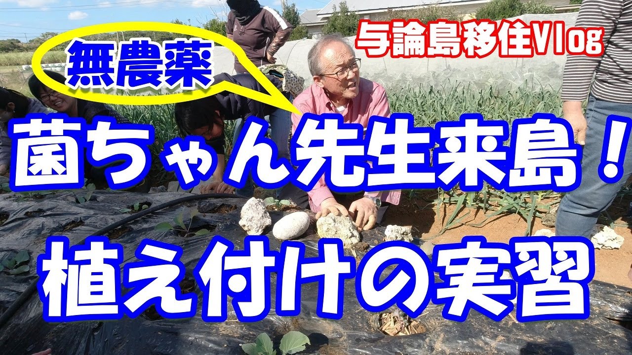 【与論島移住Vlog#68】無農薬野菜で有名な菌ちゃん先生（吉田俊道先生）、与論島へ再来島！土づくりを終えた畝で野菜植え付けの実習をしてきました