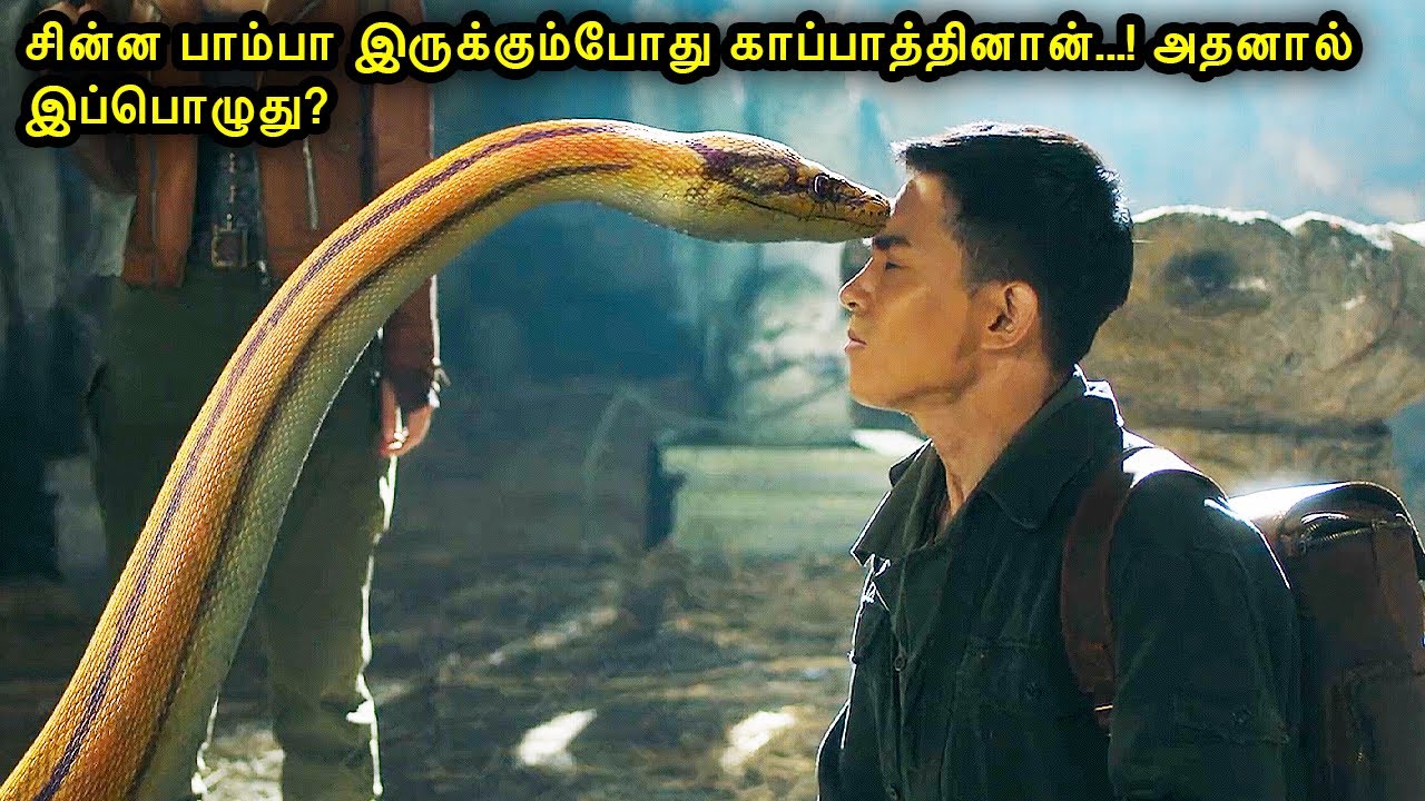 சின்ன பாம்பா இருக்கும்போது காப்பாத்தினான்...! அதனால்?| Mr Voice Over | Movie Story & Review in Tamil