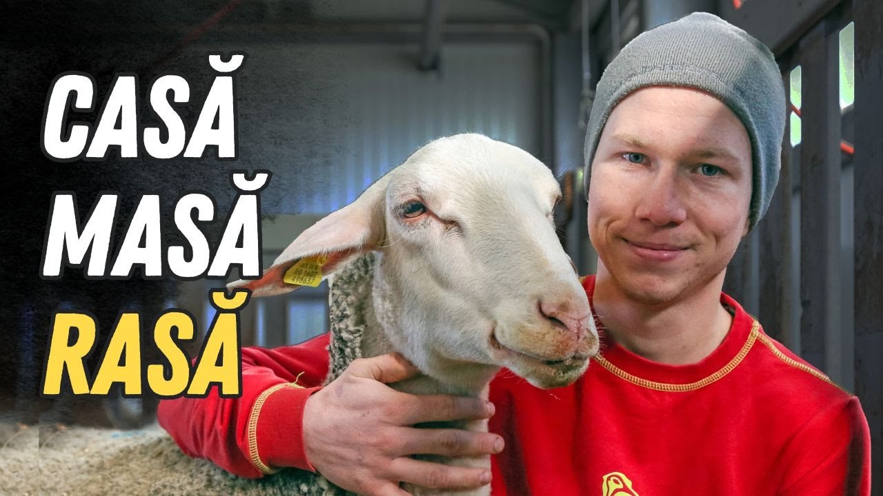 Conceptul CASĂ, MASĂ, RASĂ aplicat &icirc;n creșterea oilor prezentat de Alex Culda!