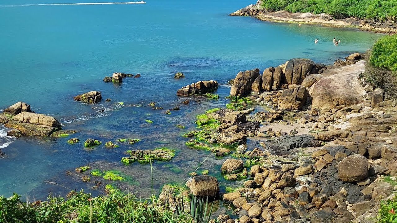 Praia de Garopaba , Praia da Ribanceira Praia dos Amores 😍