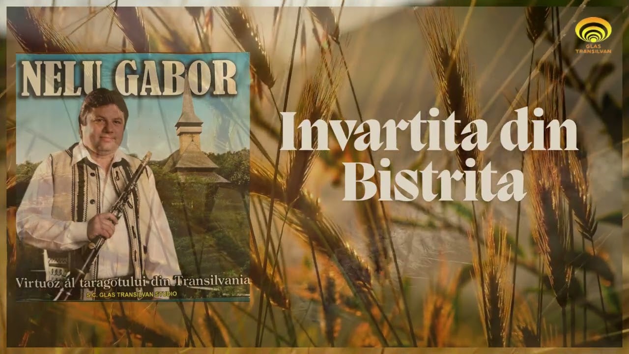Nelu Gabor - Învârtita din Bistrița