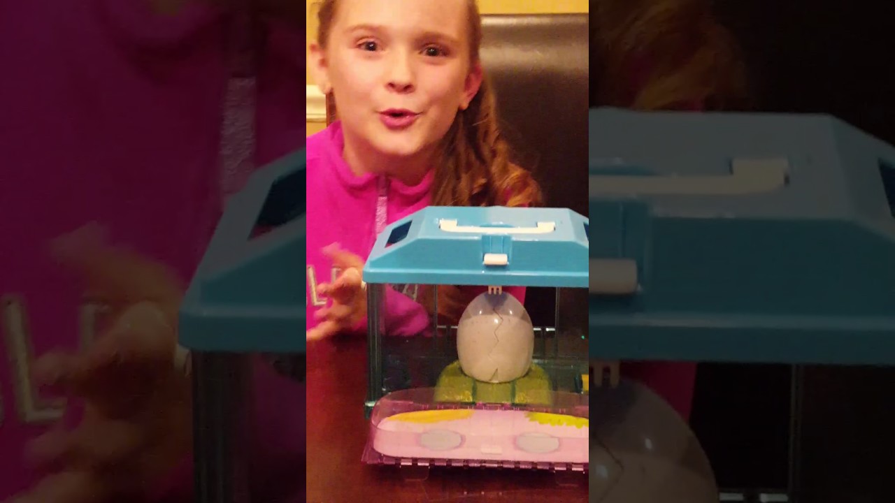 Little Live Pets Surprise Chicks Unboxing