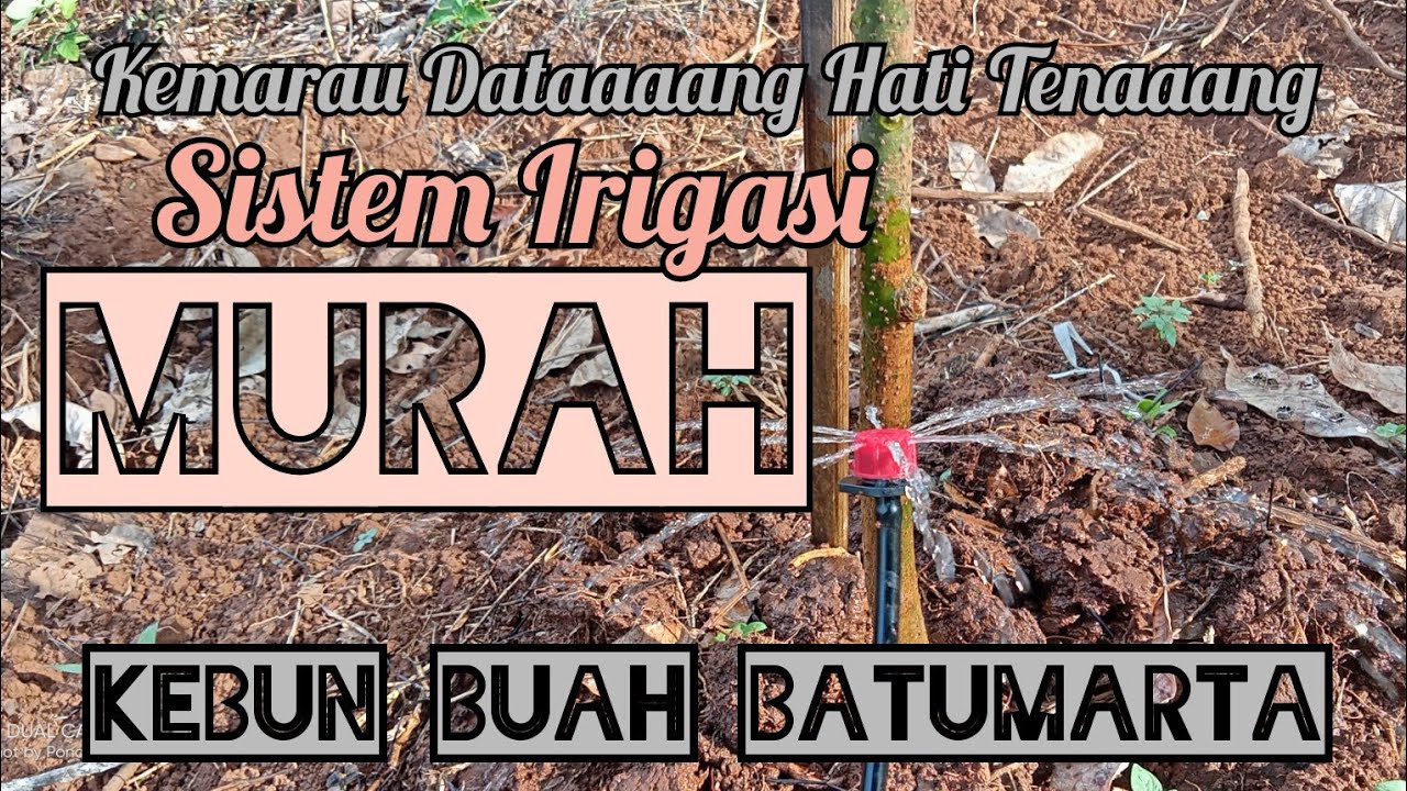 Sistim Irigasi Kebun Murah???????