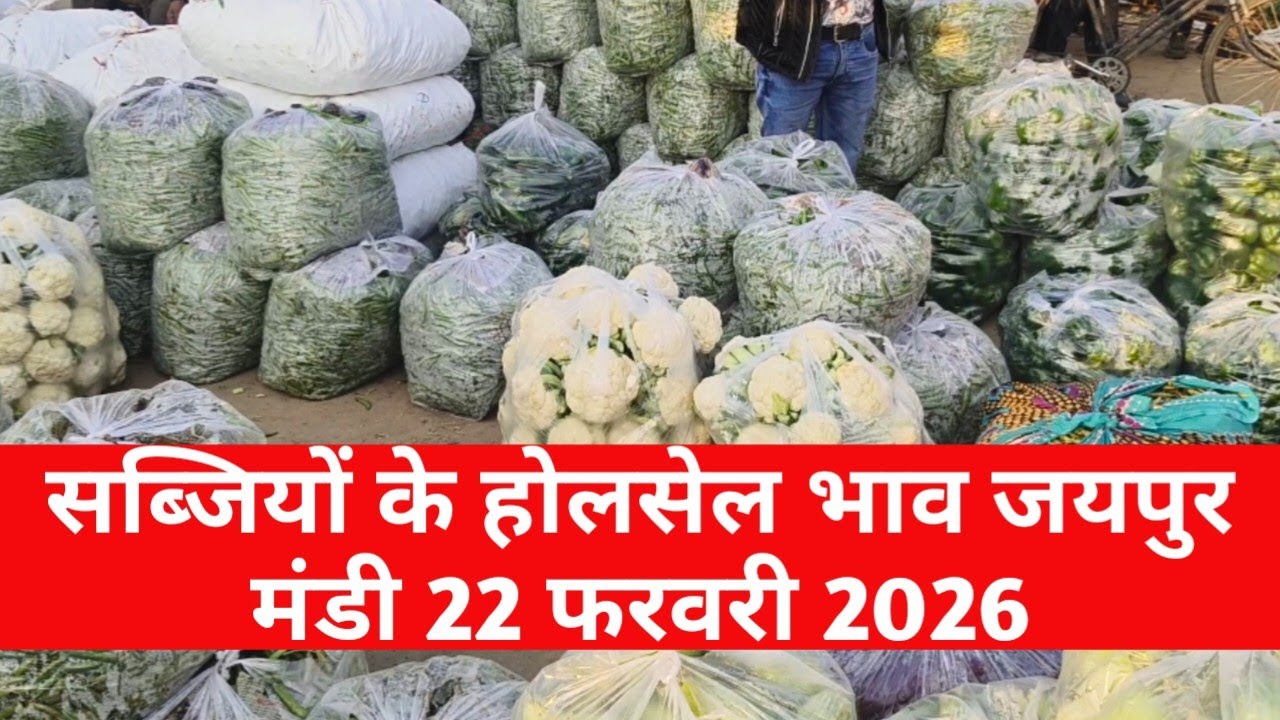 22 फरवरी 2026 जयपुर सब्जी मंडी भाव 🥦 आज के ताजा रेट | Jaipur Vegetable Market
