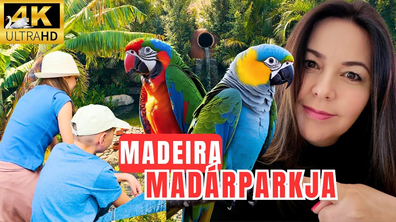 Családi kalandok Madeirán: Egy egzotikus élmény!