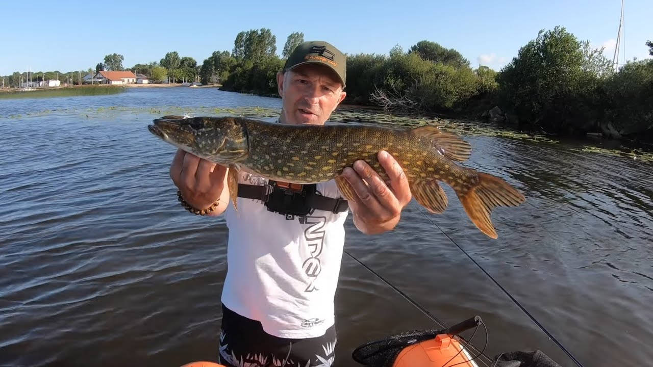 Ce BROCHET va littéralement m’ARRACHER  le DOIGT… AÏE AÏE AÏE  #peche #brochet