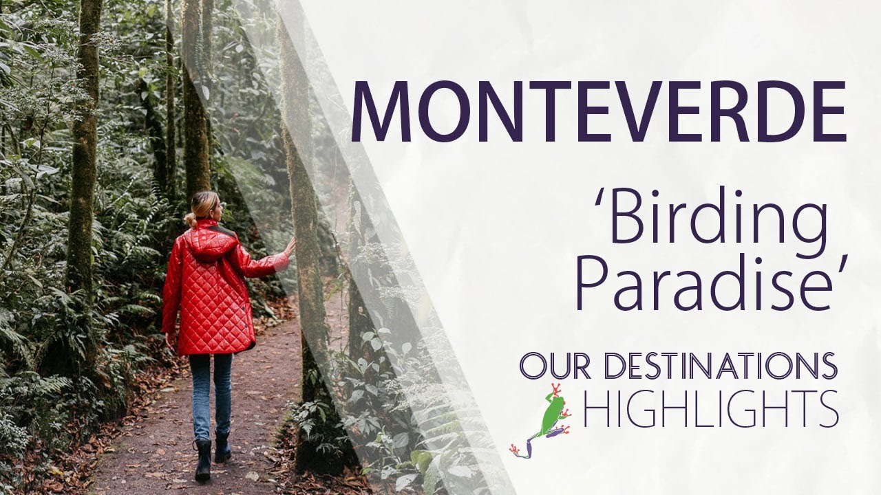 Monteverde Cloud Forest - A Birding Paradise in Costa Rica