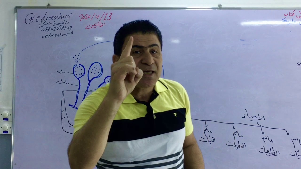 الفصل الثالث(التكاثر) التكاثر في الفطريات /محاضرة 7