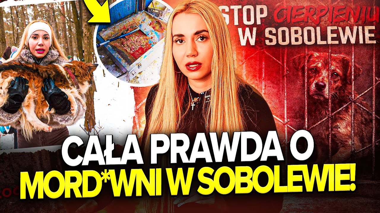 CAŁA PRAWDA O MORD*WNI W SOBOLEWIE! (Patrycja Hefka, Happy Dog)| MARIANNA SCHREIBER KOMENTUJE