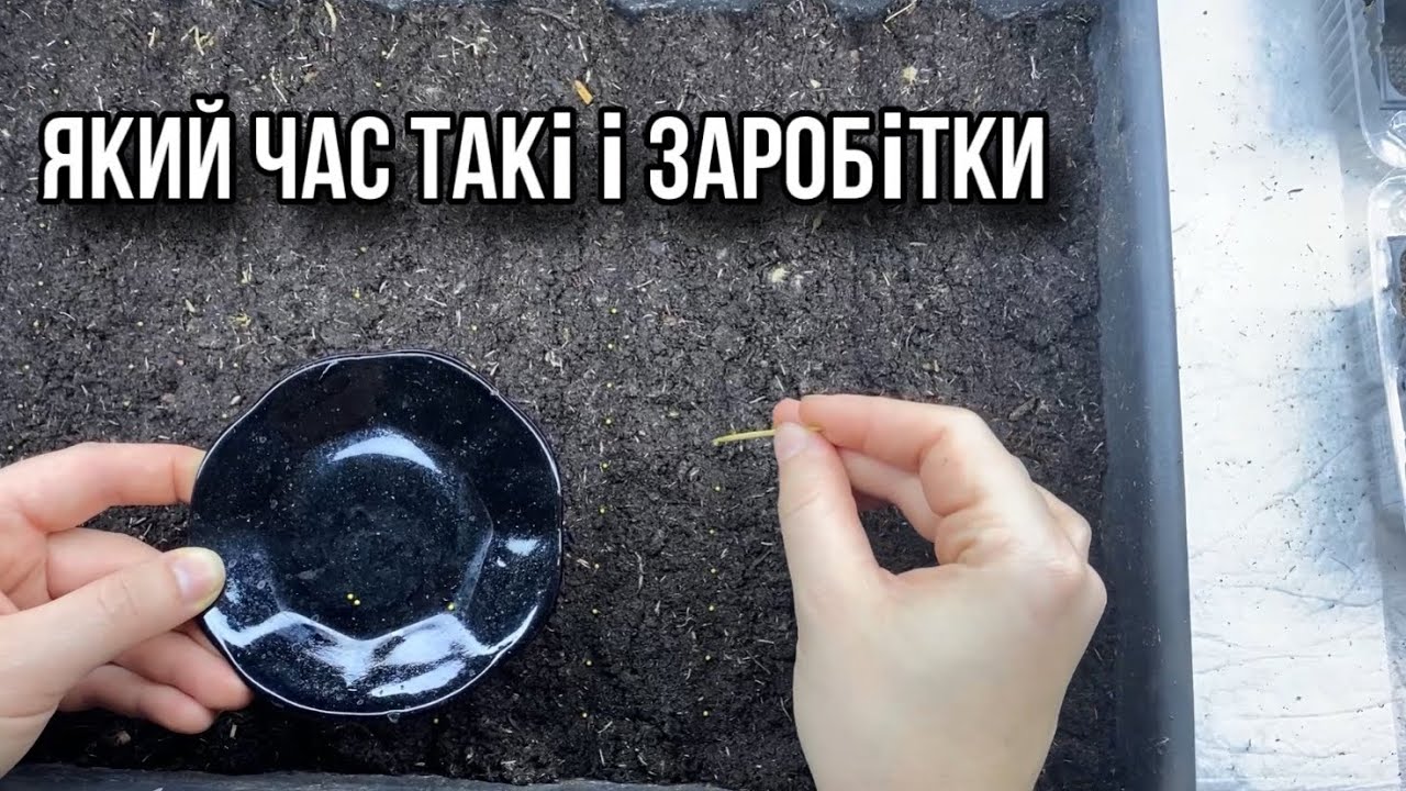 ТЯЖКІ УМОВИ АЛЕ ПРОРВЕМОСЯ! З КІМНАТИ ЗРОБИЛИ ТЕПЛИЦЮ!