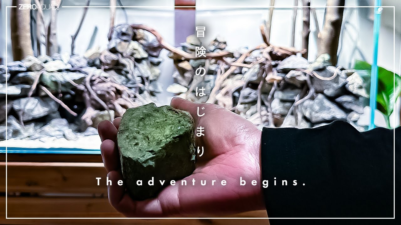 風山石で谷を作るプロセス。軽井沢「白糸の滝」からヒントを得ることに　/aquarium/120cm/vlog/