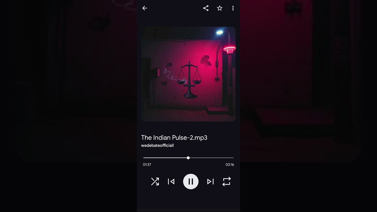 The Indian Pulse-2