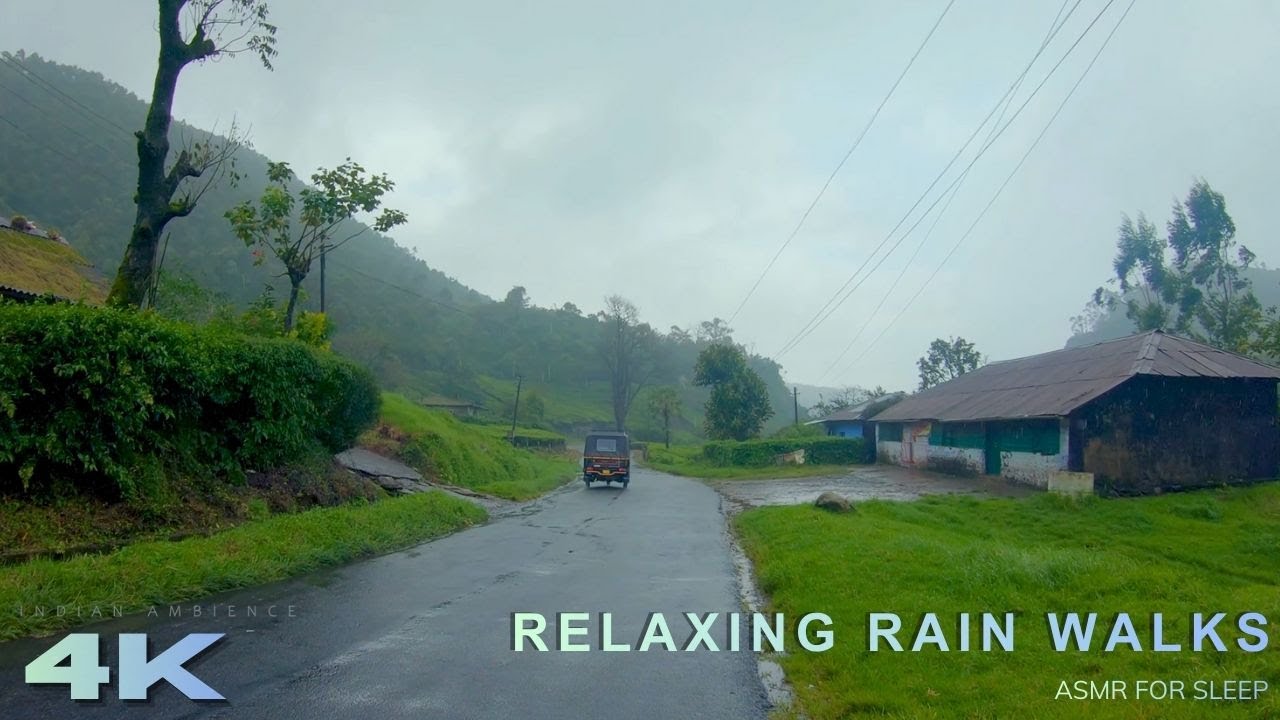 ASMR Rain Walk Through Tea Plantations & High Range Viewpoints | Compilation Walk for Sleep & Focus